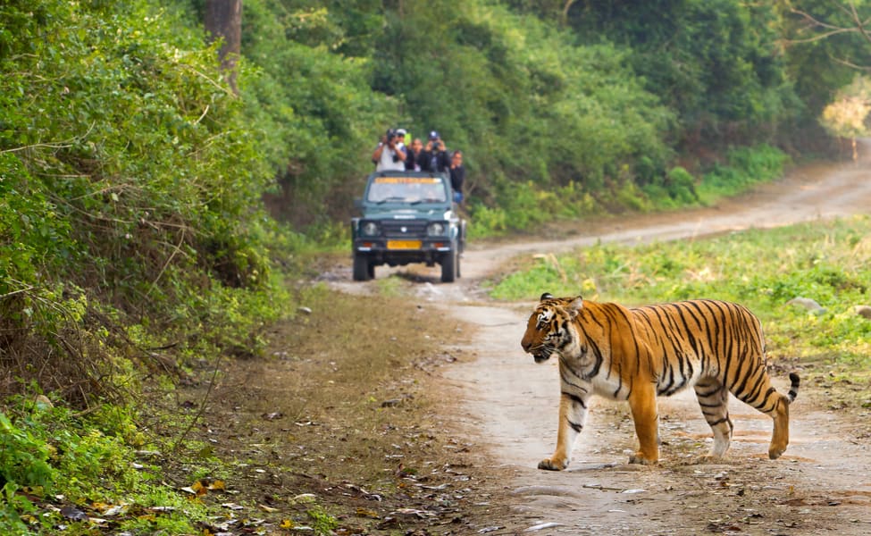 JIM CORBETT