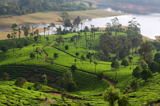 THEKKADY